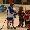 DSC_02 (38)